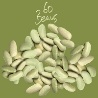 60 Beans [cover]